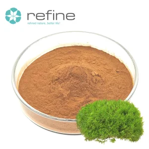 Lichen Usnea Extract