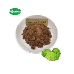 Factory Supply Natural Noni Extract Powder Noni Fruit Extract Powder