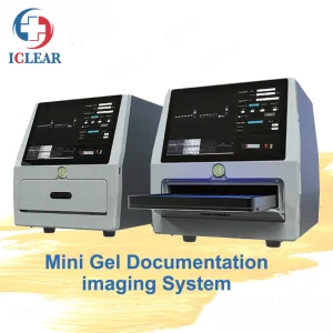 Gel Imaging Analysis