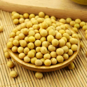 Nihewan Factory High Protein Soja Soya Beans Soy Beans