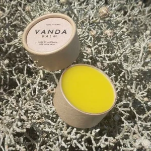 Natural Food Grade Lip Balm Cardboard Jars Packaging