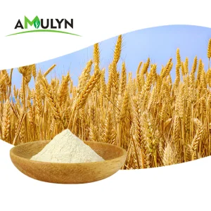 Supply Hydrolyzed Wheat Protein Powder
