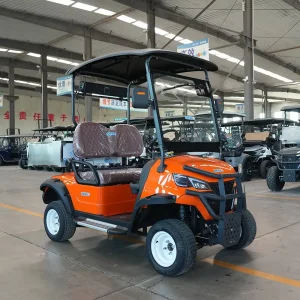 Two-Seater Golf Cart, Custom-Made by Manufacturer.