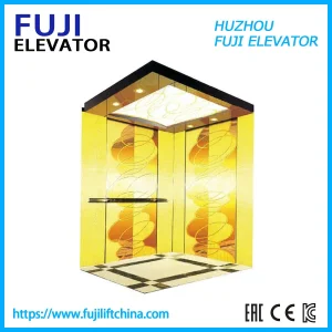 Person Small Size Machine Roomless Home Lift Villa Passenger Elevator