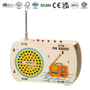 Montessori DIY Assemble Radio Toy Wooden STEM Science Educational Craft Toy for Toddler Made of FSC Approved Wood