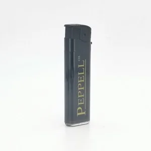 Mini Vibrator Electric Cigarette Kitchen Gas Lighters Disposable Electronic Cigarette BL-988 BRAND BOLIAN
