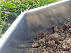 Corten steel garden edging