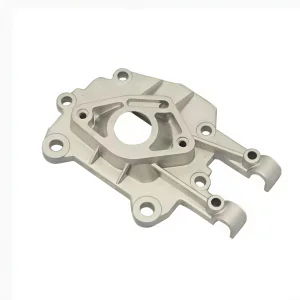 Custom Precision Hot Chamber Die Casting Parts Metal Auto Zinc/Alloy/Aluminum Die Cast