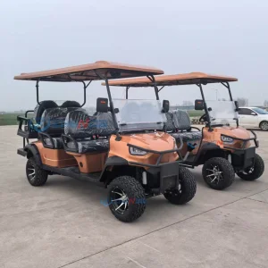 Factory Customization Golf Carts Orange 6 seat