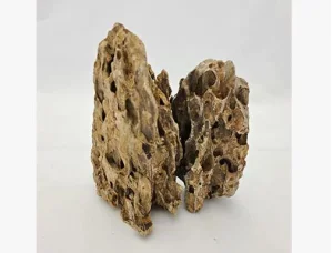 Simulation Aquarium Accessories