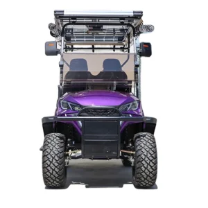 Solar Panels Golf Cart Customization Factory Direct Saleupgrade Golf Buggy Electric Golf Cart