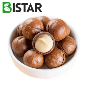Nozes de Macadâmia de Alta Qualidade com Casca em Bulk Nozes Crudas de Macadâmia Atacado