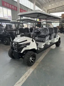 6 Seater Gas Powered Golf Cart