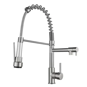 Wholesale Dual-Function Faucet