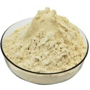 Wholesale 9003BA Vegetarian Type