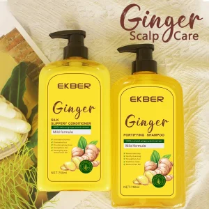 OEM and ODM Ginger Hair Treatment Kit for Healthy Hair