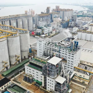 Soybean Oil Mill Processing Machine
