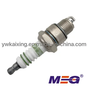 Low Price Quality Inventory Engine Part Ignition System Iridium Bujia (0244229719 W8BC)