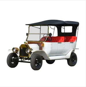 Eg Sightseeing Vehicle Vintage Electric 6 Seats Classic Car for Sale