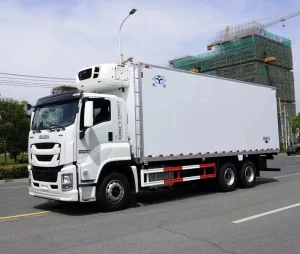 Japanese Brand Isuz Fish Carrier Refrigerated Refrigerator Food Van Freezer Truck