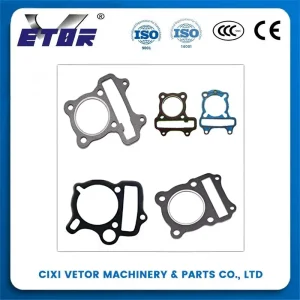 High-quality 110CC Gasket Sealing Protection for Engine Rebuild