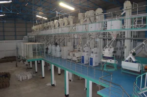 Planta de molienda de arroz de cajas de madera de la marca Xiangliang para harina de trigo