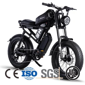 2000 Watt Ladies Commuter Good Electric Bicycle From China
