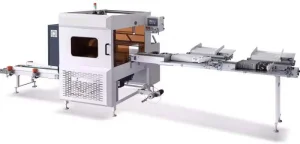Advanced Fully Automated Paper Cup and Bowl Packing Machine