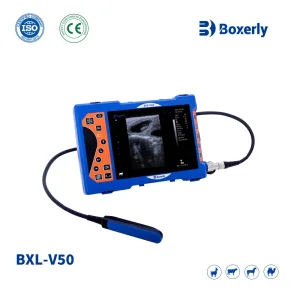 Bxl-V50 Precio del equipo de escáner ultrasónico veterinario portátil para ganado vacuno