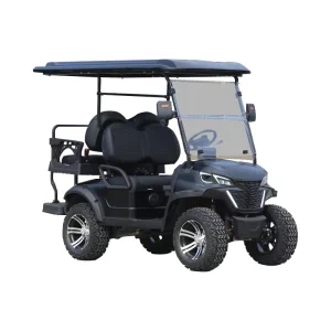 WELIFTRICH Supplier Utility Club 4 Wheel Drive Buggy Car 2+2 Seats Golf Carts Electric With Folded Back Seat