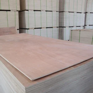 Poplar Laminated Sheet