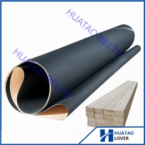 Silicon Carbide Abrasive Belt