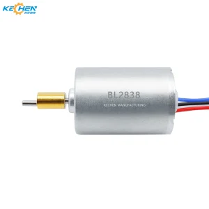 Permanent Magnet Brushless Motor
