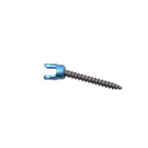 Geasure Orthopedic Spine Pedicle Polyaxial Screw 6.0