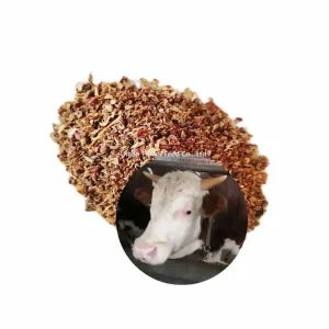 Factory Directly Sale Apple Pomace for Animals Feed Additives Feed Ingredients Feed Material