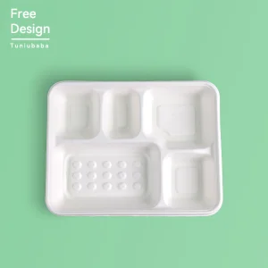 Multi-Compartment Food Tray Biodegradable Plate 6 Compartment Disposable Plate
