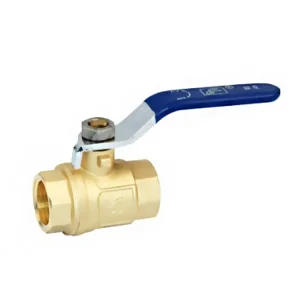 Multi-Function Water Valve