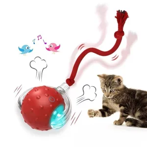 Kangdarpet Smart Auto Rolling Cat Toy