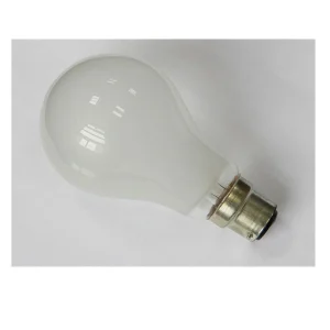 Clear Frosted Glass S 240V 40W Lamps Incandescent Light Bulb