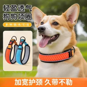 Wholesale Pet Collars Procurement