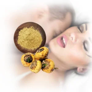 Bulk Maca Root Extract Powder