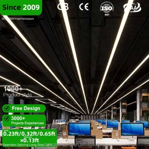 Gym Ceiling Light