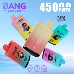 EU Warehouse Disposable Vape Dual Flavors