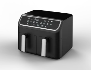 Dual Zone 9L Air Fryer Oven