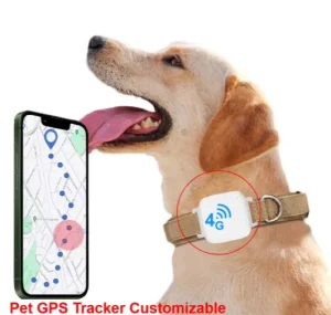 Mini Small Smart Device for Dogs for Pets 4G Dog Locator Tracker