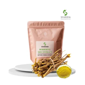 Bulk Standardized Wild Berberine Herbal Extract for Medicinal and Supplement Use