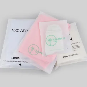 Custom Logo Compostable 100% Biodegradable Transparent Frosted Self Adhesive Apparel Swimwear Clothes Packaging Plastic Bags