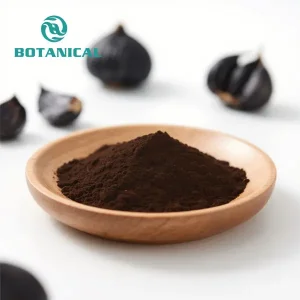 High-Quality Black Garlic SAC Extract Powder