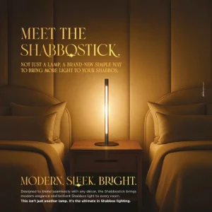 Shabbos Aluminum LED Desk Lamp
