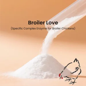 Broiler Poultry Feed Enzyme Additive